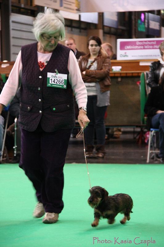 Crufts2011_2 1010.jpg